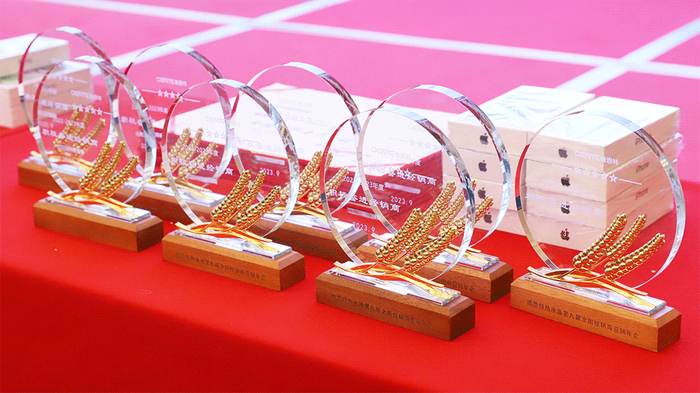 1696381251186917.gif 年度优秀代理商6.gif